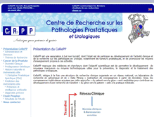 Tablet Screenshot of cerepp.org